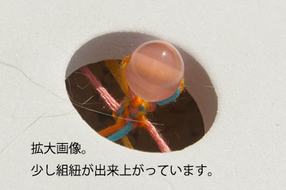 組みひもメーカー　少し編めた写真